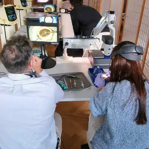 MicroREC 3D glasses-free display showing surgical footage in 3D